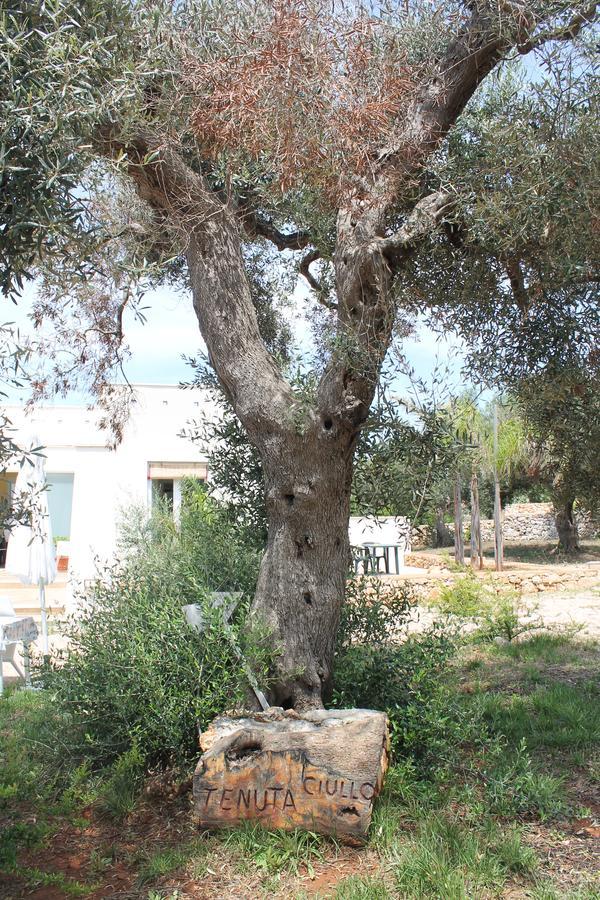 Tenuta Ciullo Bed and Breakfast Salve Esterno foto